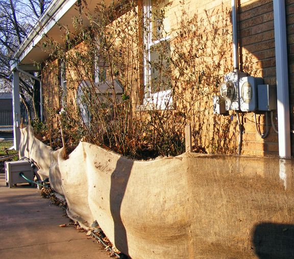 Winter pots photo 2013_11300004_zpse7ed789b.jpg